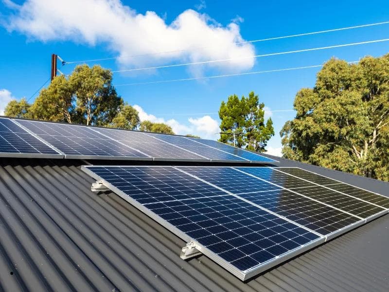 Take the Next Step Toward a Sustainable Future