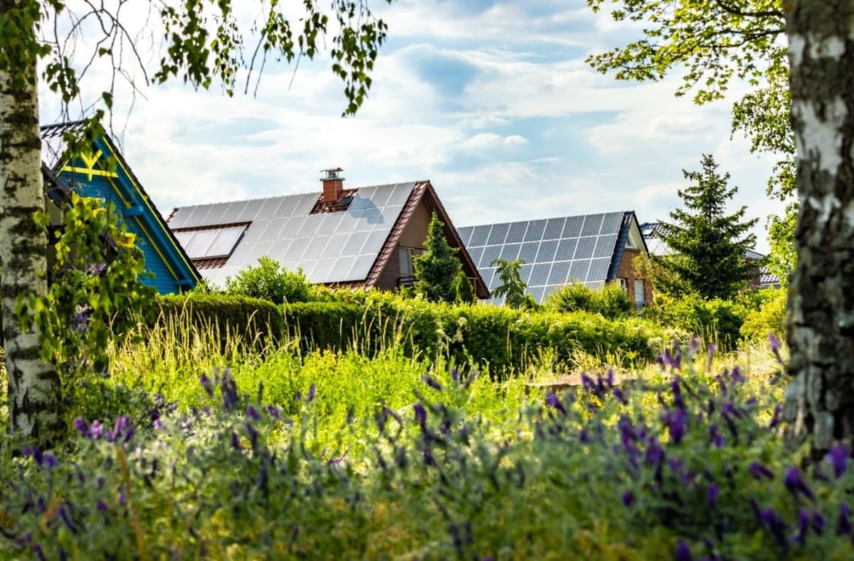 Why Choose Us For Solar Services in Belmont?